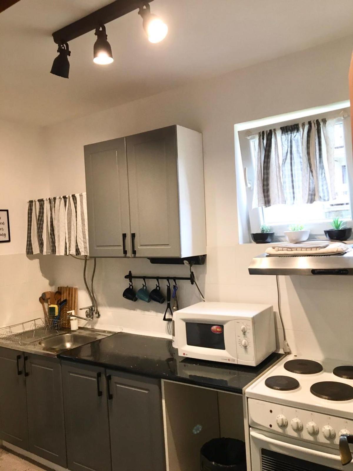Apartment Dunjic Vrnjačka Banja Zewnętrze zdjęcie